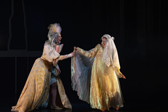 peau d'âne©victordiazlamich-931487