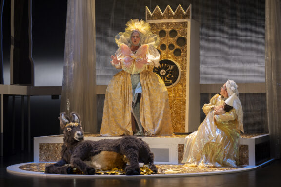 peau d'âne©victordiazlamich-931592