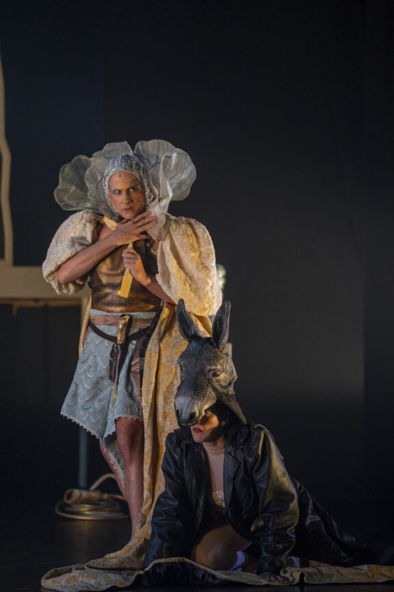 peau d'âne©victordiazlamich-932280