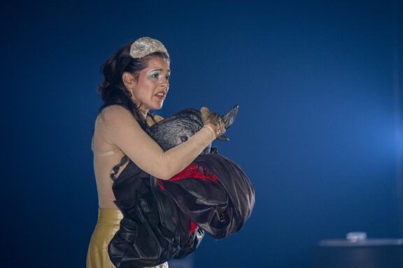 peau d'âne©victordiazlamich-932941