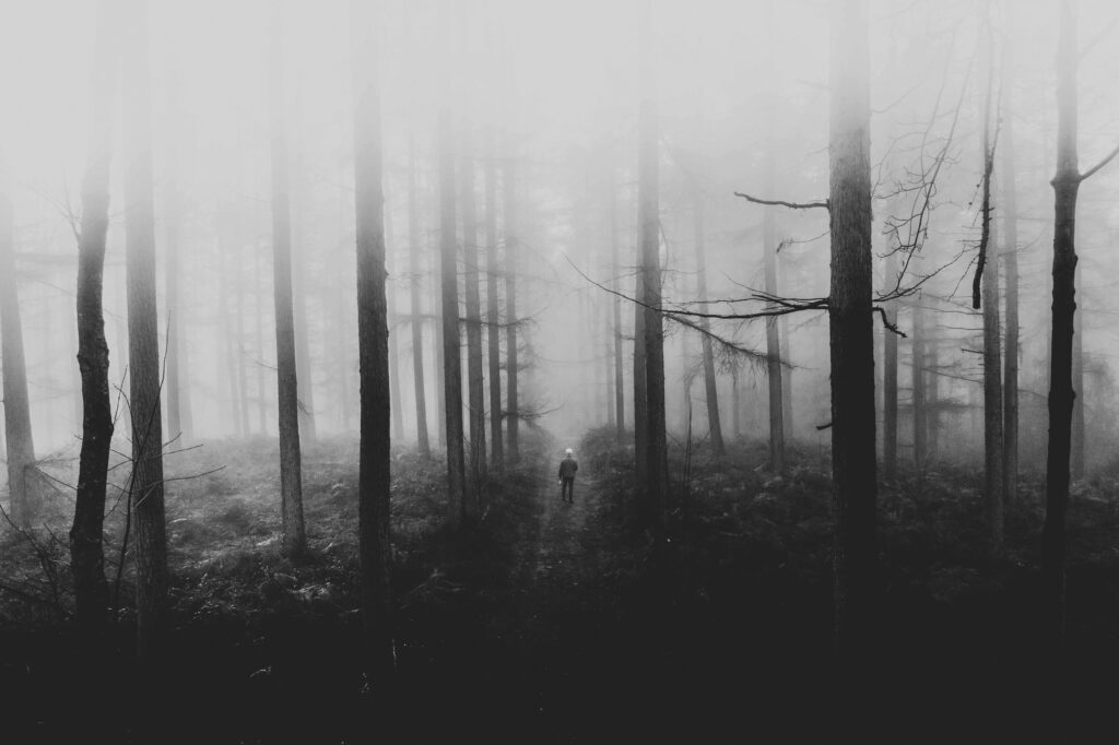 Man walking in the misty woods