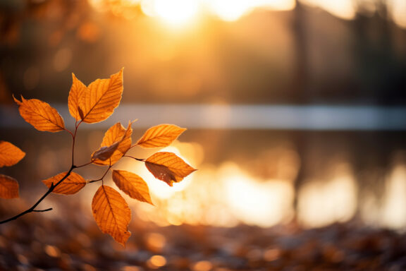 Cahier d&rsquo;automne 2025 – Numéro 114