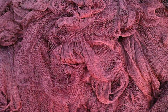 kristin-snippe-WZC12I7btac-unsplash