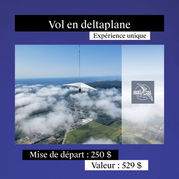 4-Visuels_lots_encan_2026_pour_comm6