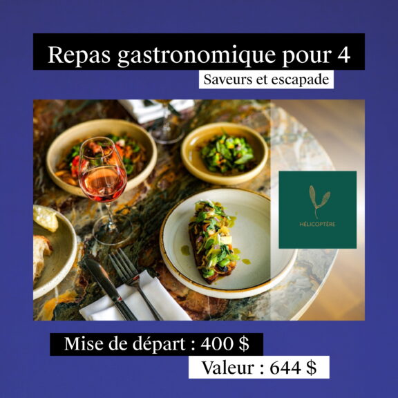 5-Visuels_lots_encan_2026_pour_comm4_Compress